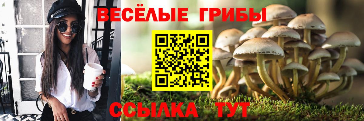 Галлюциногенные грибы мицелий Соликамск